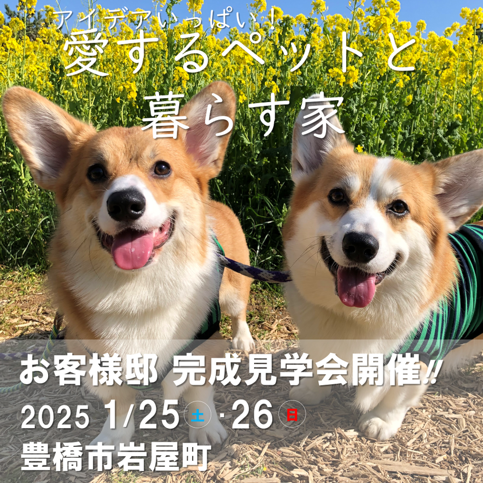 「愛するペットと 暮らす家」完成見学会開催