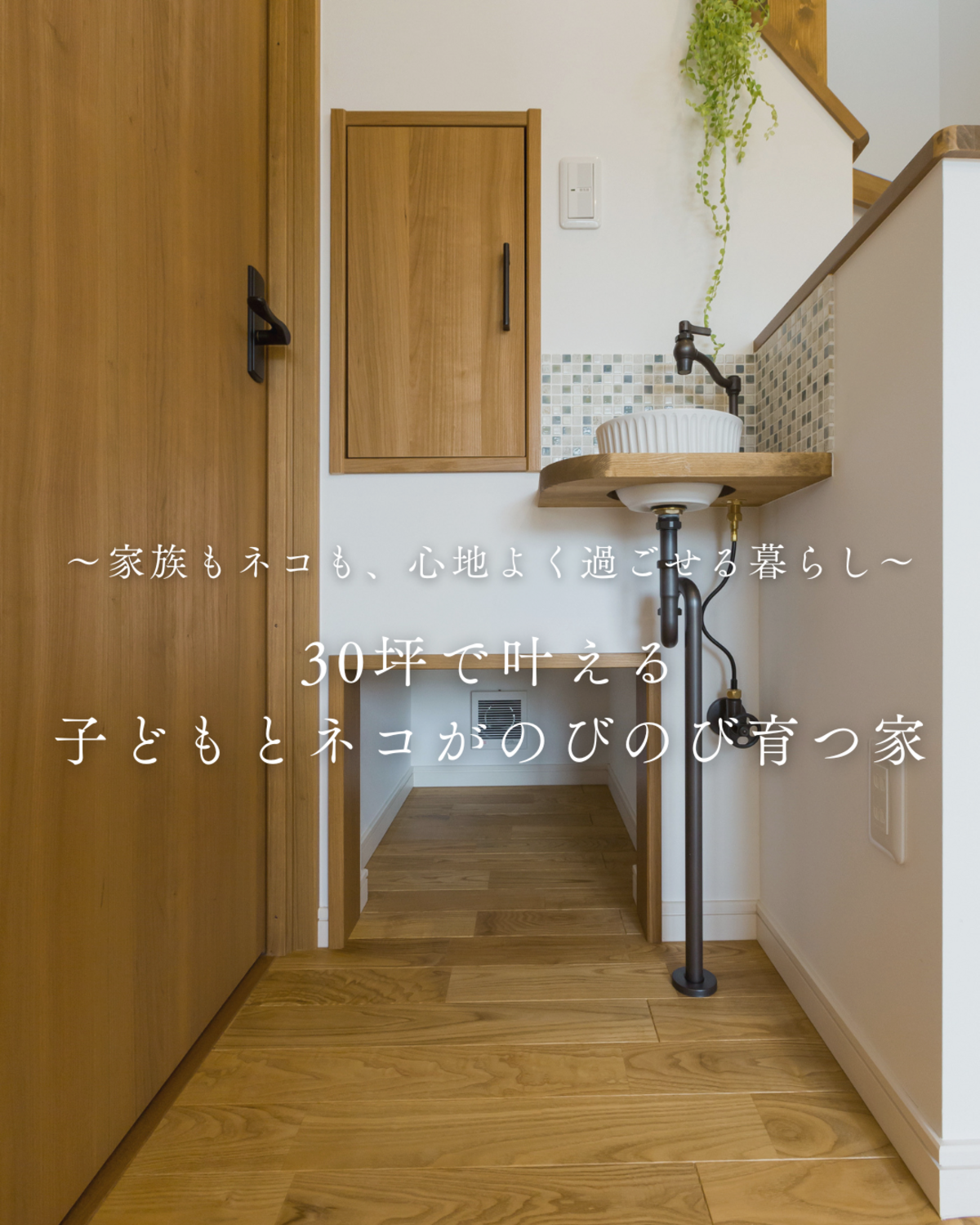 30坪の子どもとネコがノビノビ育つ家

